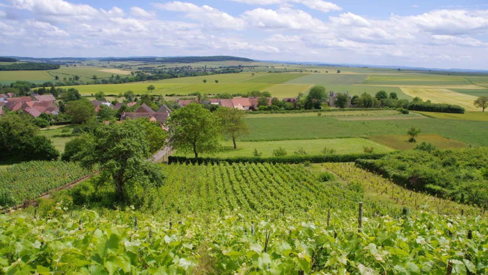 La Parenthese Campagnarde Tannay (Nievre) Exterior foto